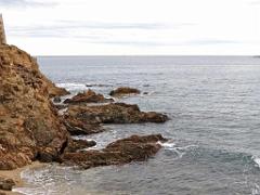 183 D18 PRESQU ILE DE GIENS 1_000012
